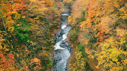 Photo of recommended tourist destination, Nakatsugawa Gorge