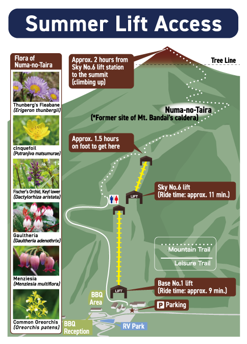 Summer Lift Map